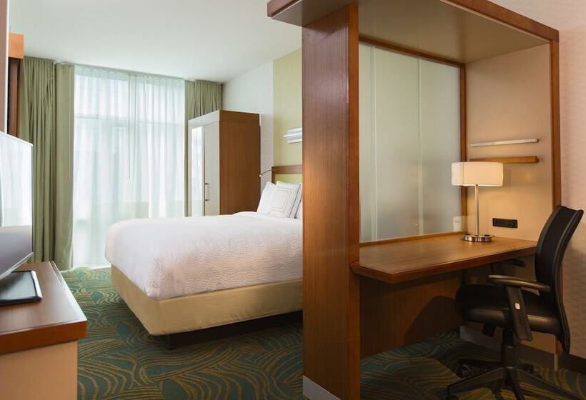 Люкс, Springhill Suites By Marriott Nashville Vanderbilt/west End
