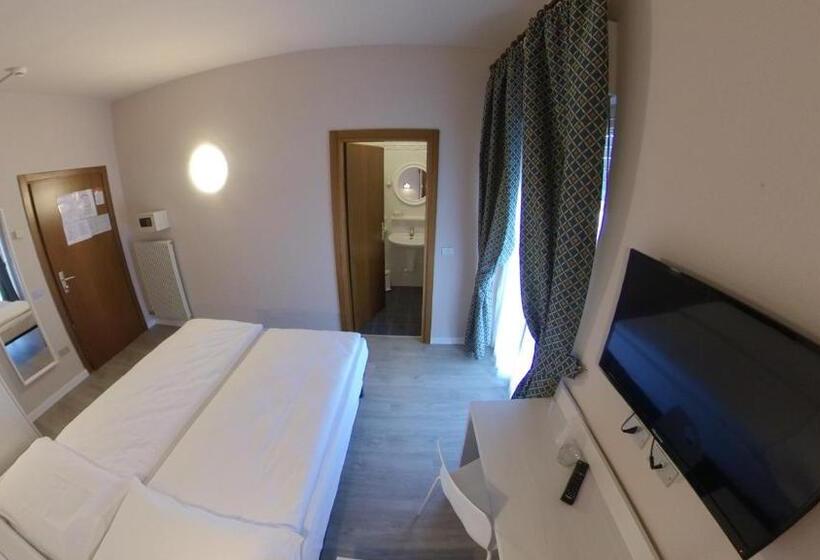 Quarto Estandar, Alberello