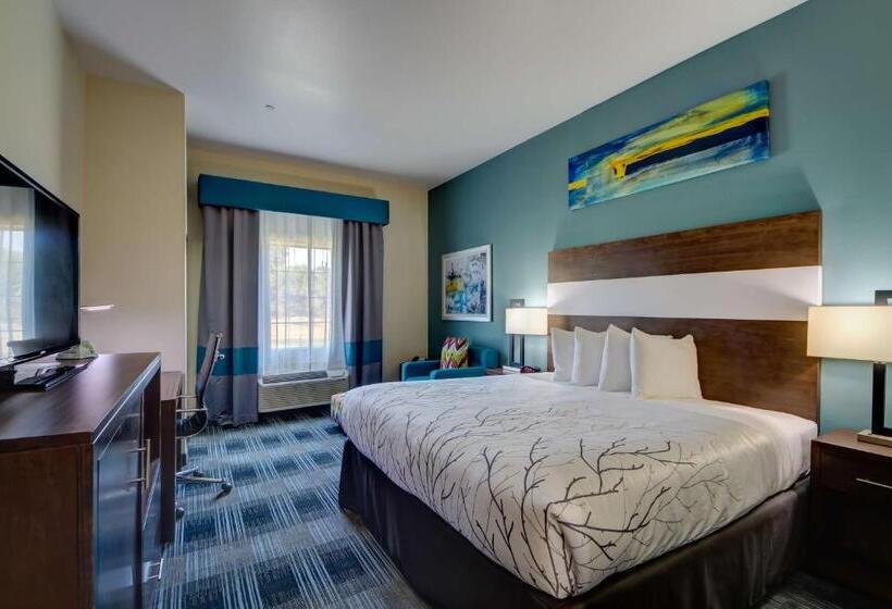 Номер Стандарт Кровать Кинг Адаптированный для Инвалидов, Best Western Plus Inn Of Muskogee