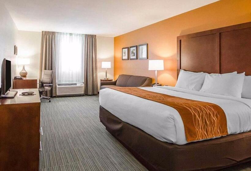 适合残疾人士使用的带超级大床的标准间, Comfort Inn