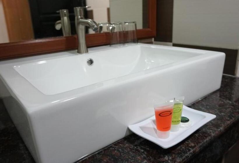 غرفة سوبيريور, De Baron Resort