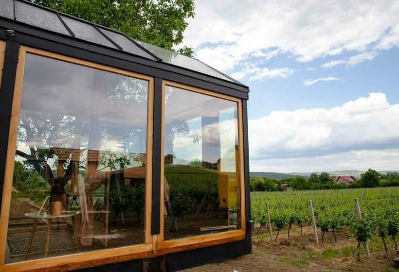 스탠다드 테라스 룸, Tiny House In The Vineyard By Gramofon Wine