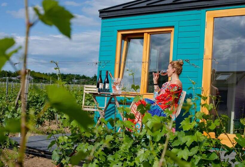디럭스 룸, Tiny House In The Vineyard By Gramofon Wine