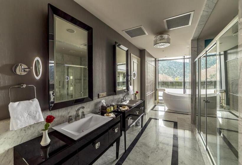 سوئیت پرزیدنت, Borjomi Likani Health & Spa Centre