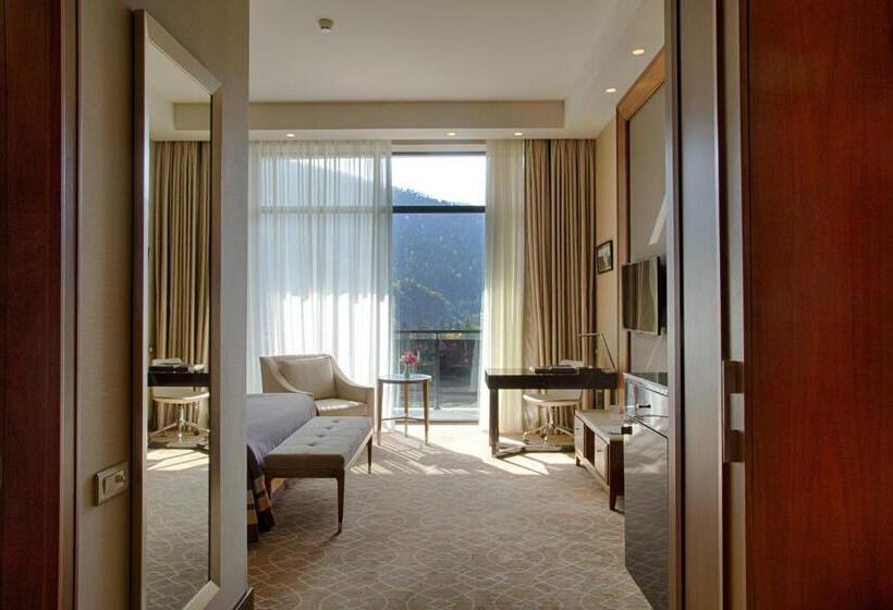 اتاق لوکس با تخت بزرگ, Borjomi Likani Health & Spa Centre