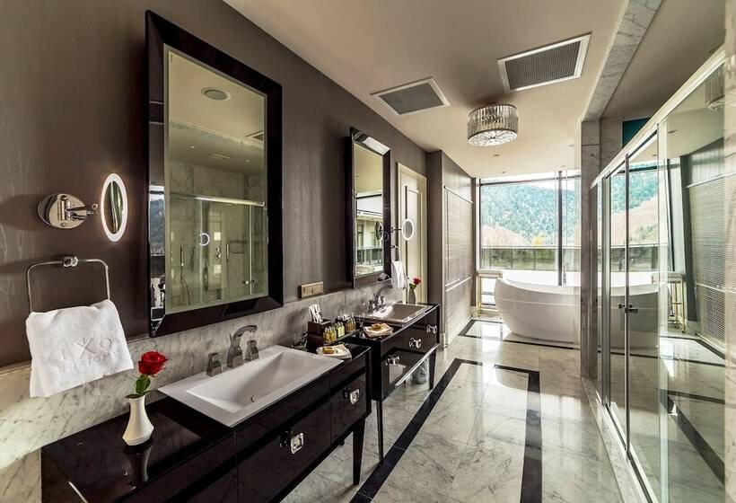سوئیت پرزیدنت, Borjomi Likani Health & Spa Centre