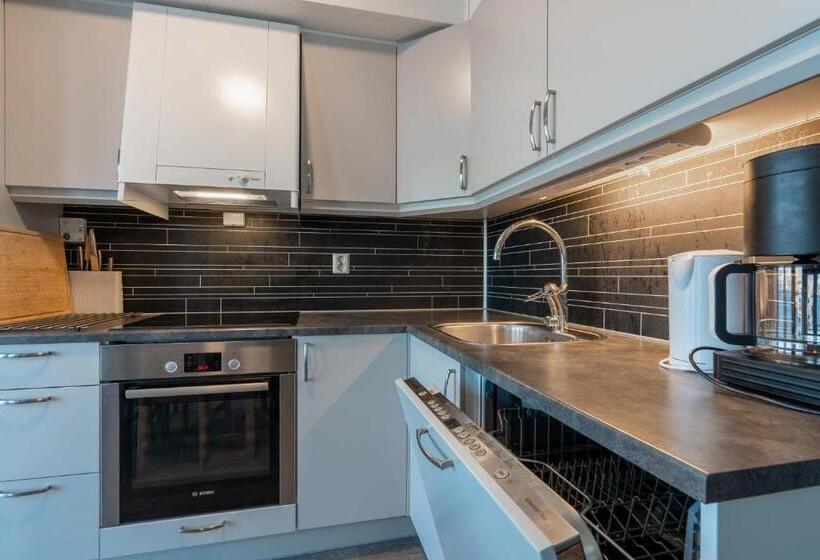 1 Yatak Odalı Basic Daire, Sommarøy Arctic Hotel Tromsø