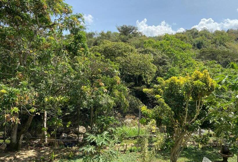 Семейный Номер Вид на Сад, Campestre Davilejas
