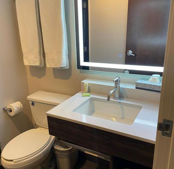 اتاق استاندارد, Holiday Inn Express Mexico City Satelite, An Ihg