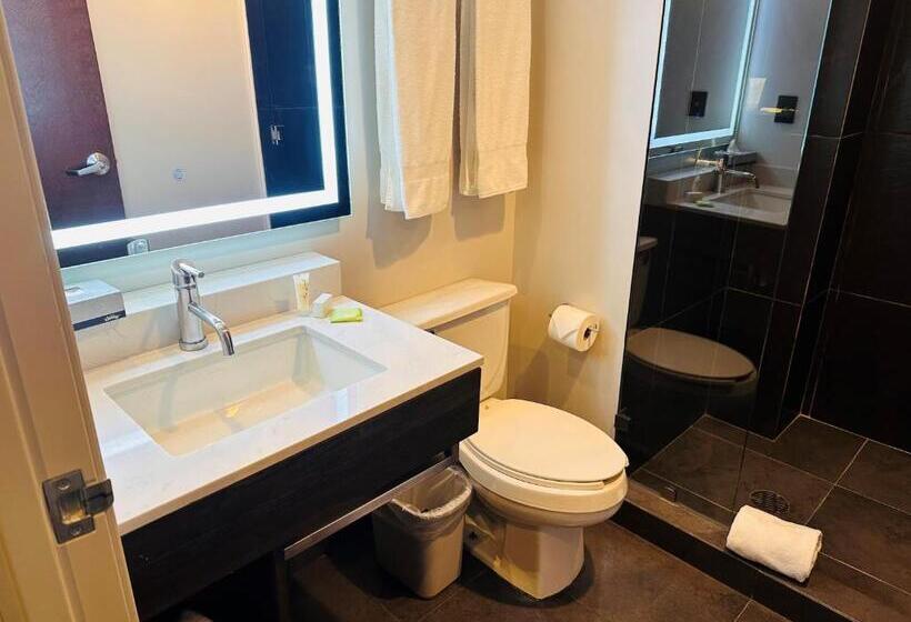 اتاق استاندارد با 2 تخت دوبل, Holiday Inn Express Mexico City Satelite, An Ihg