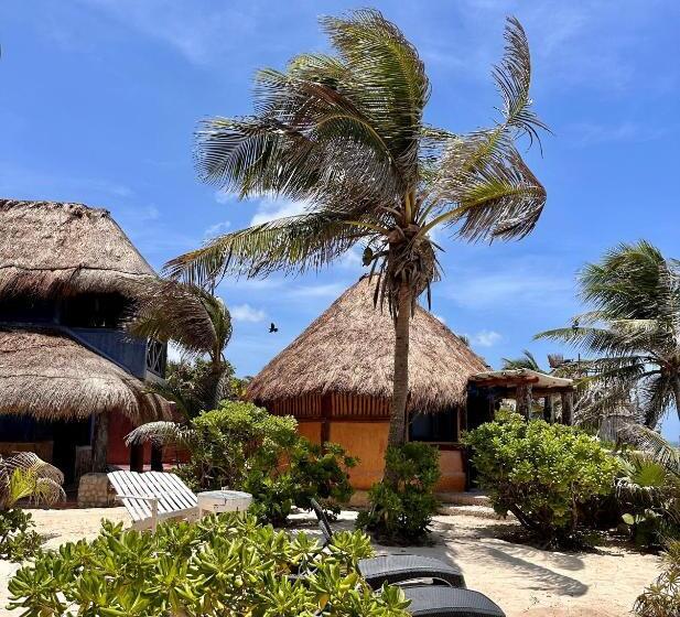 Quarto Economy, La Conchita Tulum