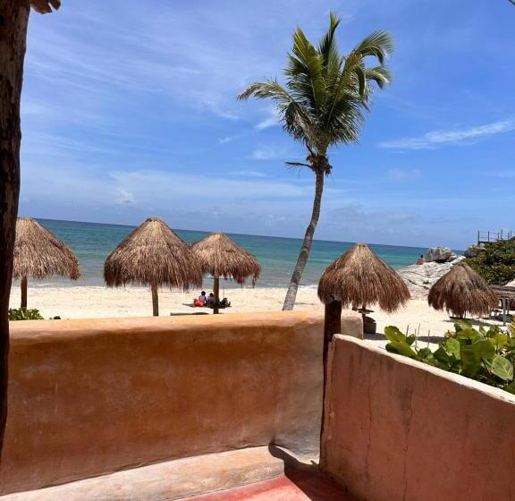 Escritório Deluxe, La Conchita Tulum