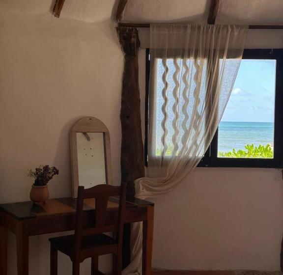 Escritório Deluxe, La Conchita Tulum