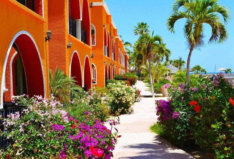 オーシャンビュースタンダードルーム, Palmas De Cortez