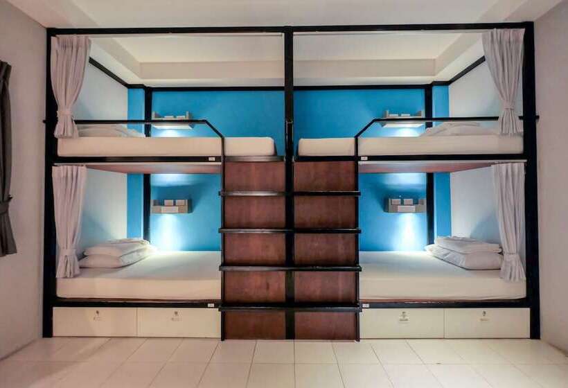 공동 객실, At Nights Hostel
