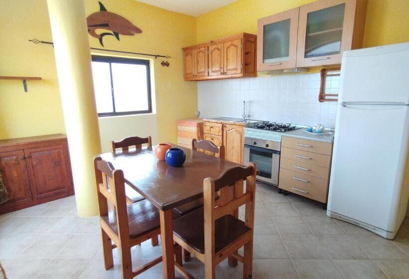 آپارتمان 1 خوابه, B&b Salinas Boa Vista Wifi Free
