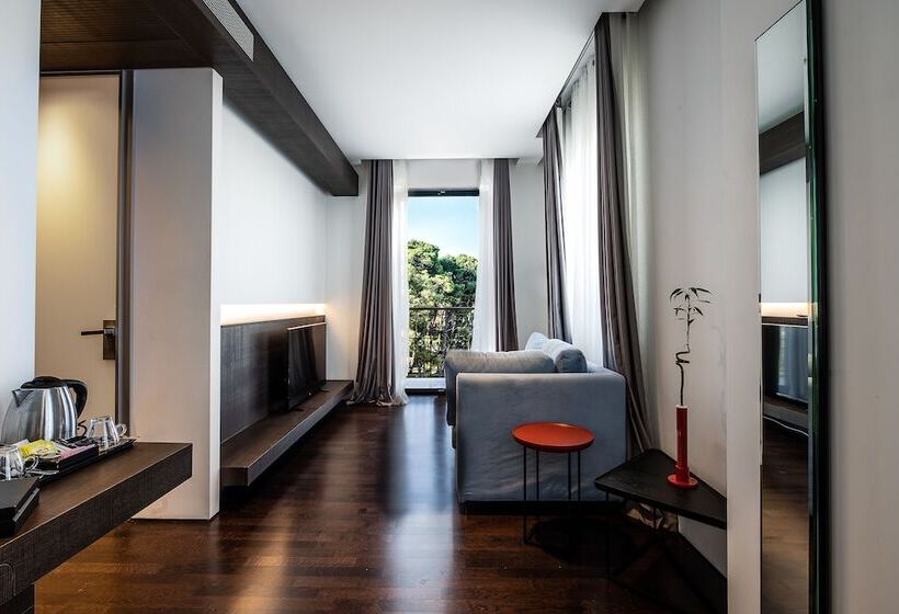Президентский Люкс, Domotel Kastri