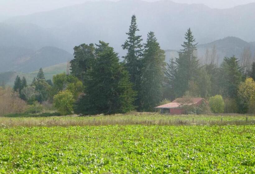 이그제큐티브 스위트, Hanmer Springs Scenic Views Motel