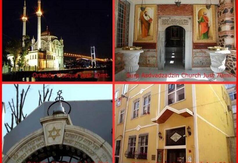 آپارتمان 1 خوابه با چشم‌انداز باغ, Ortakoy Aysem Sultan