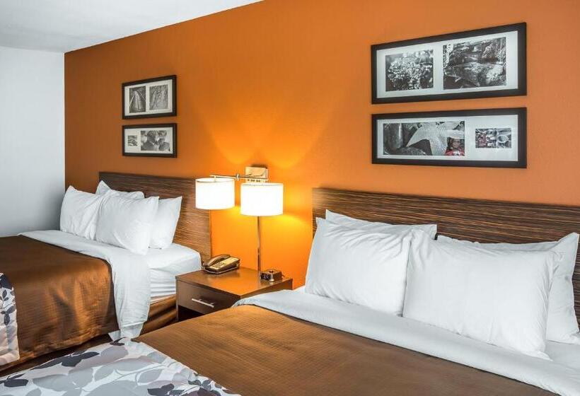 חדר סטנדרט, Sleep Inn Cartersville