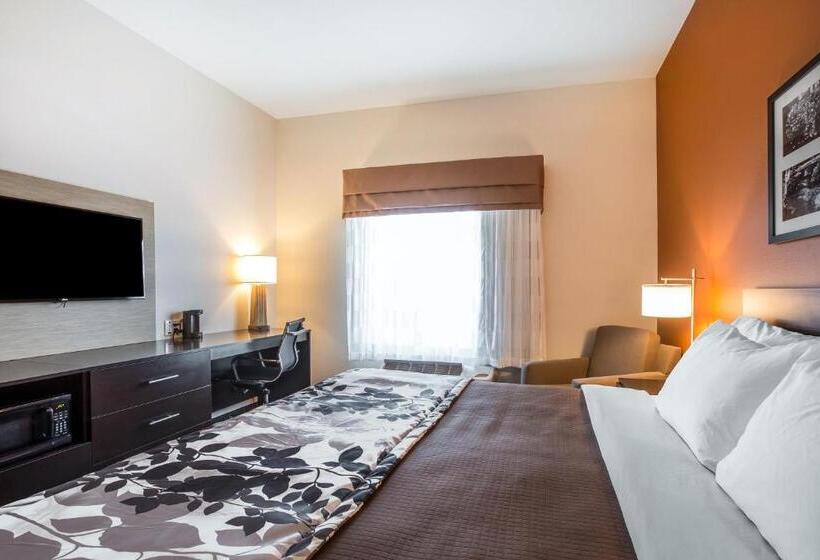 חדר סטנדרט עם מיטת קינג, Sleep Inn Cartersville