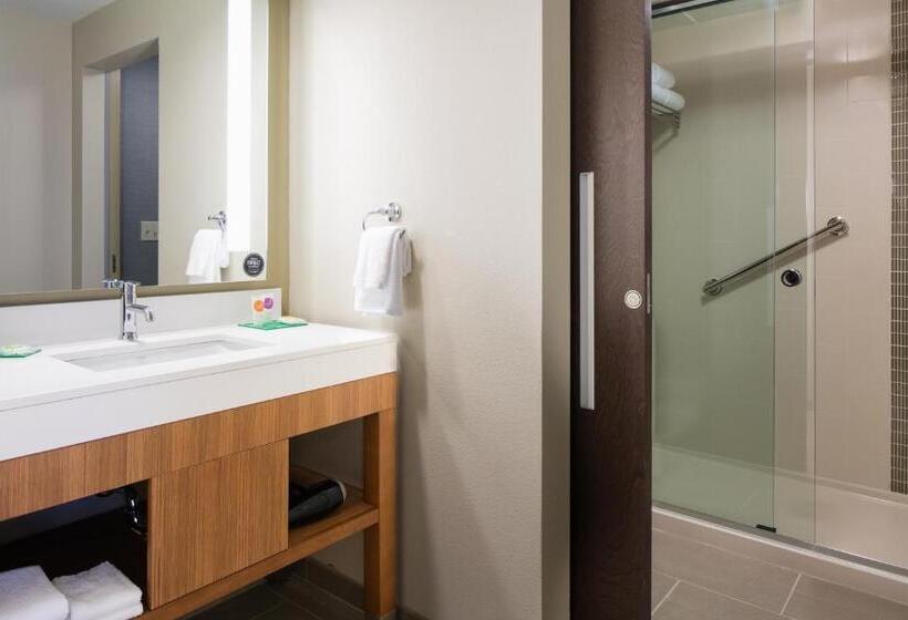 اتاق استاندارد با تخت بزرگ, Hyatt Place Kansas City Lenexa City Center