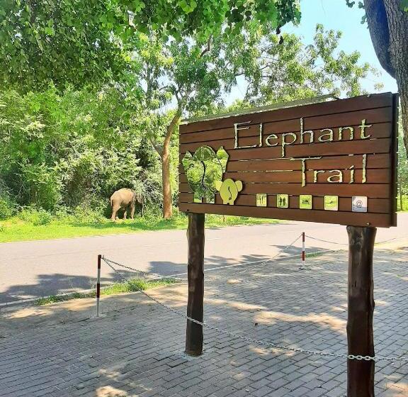 Номер Deluxe, Elephant Trail
