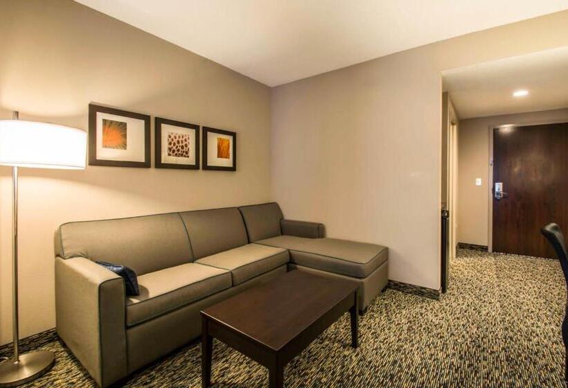 Люкс, Comfort Suites Fort Lauderdale Airport South & Cruise Port
