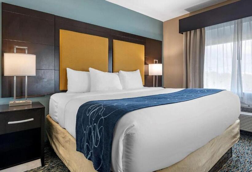 Suíte, Comfort Suites Fort Lauderdale Airport South & Cruise Port