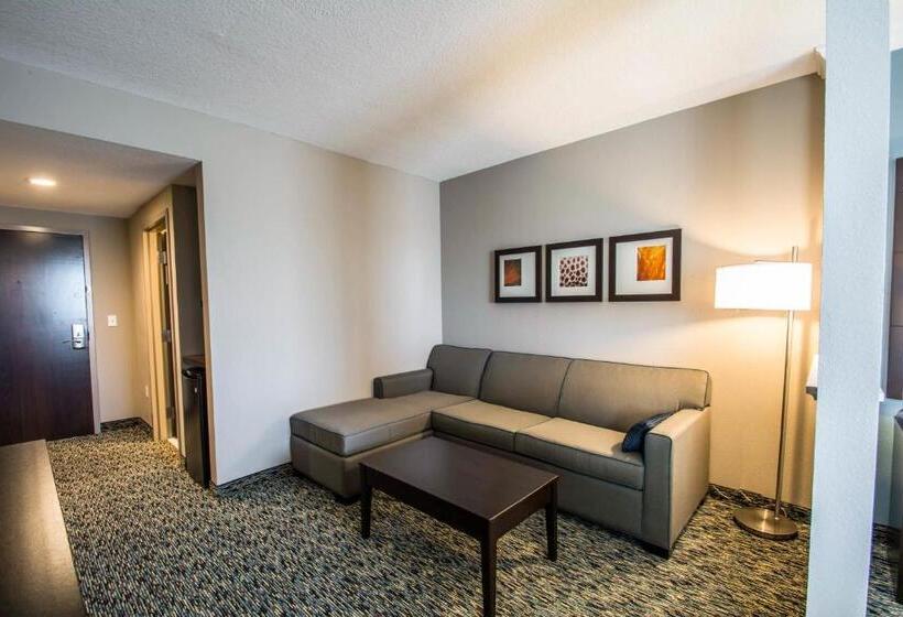 Люкс Кровать Кинг, Comfort Suites Fort Lauderdale Airport South & Cruise Port