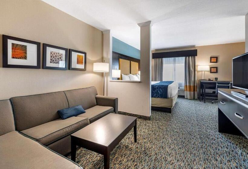 Suíte Cama King, Comfort Suites Fort Lauderdale Airport South & Cruise Port