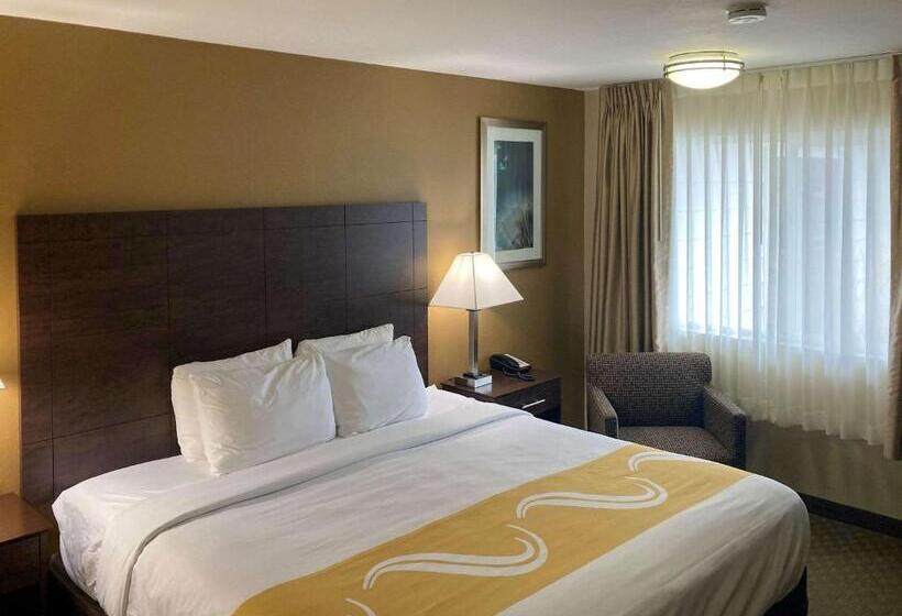 חדר סטנדרט עם מיטת קינג, Quality Inn