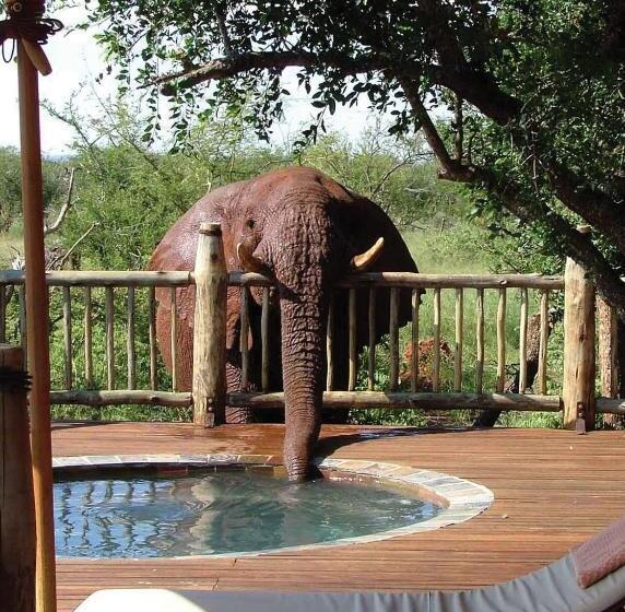 전용 풀장 스위트, Etali Safari Lodge