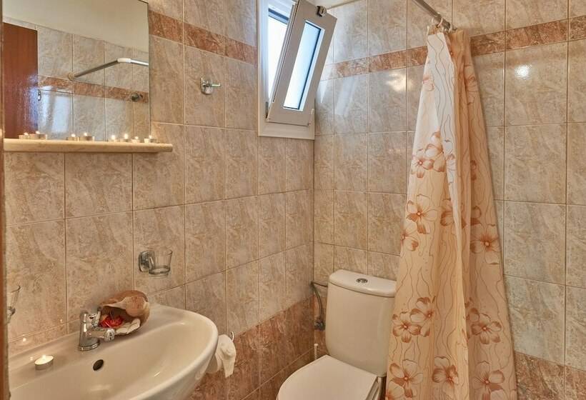 Студия Стандарт, Corali Studios