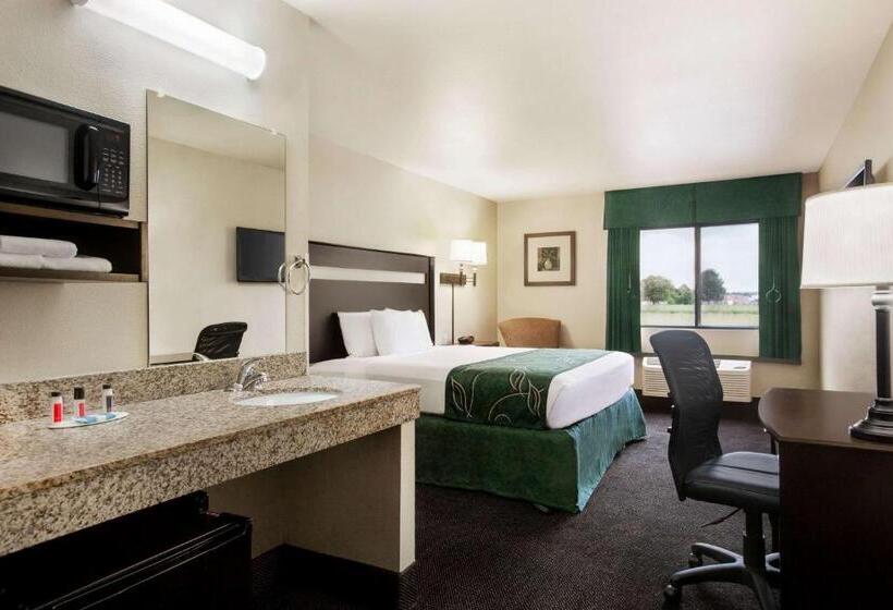 스탠다드 룸, Travelodge By Wyndham Livonia