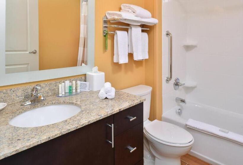 Студио Стандарт Кровать Кинг, Towneplace Suites By Marriott Detroit Commerce