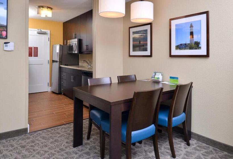 Студия Стандарт, Towneplace Suites By Marriott Detroit Commerce