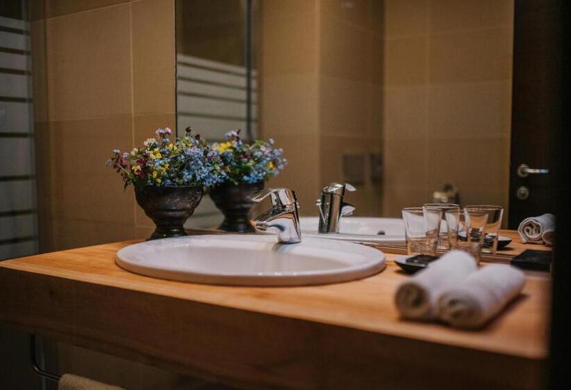 اتاق استاندارد با دسترسی به اسپا, Balvanyos Resort   Peakture Hotel & Grand Hotel Balvanyos