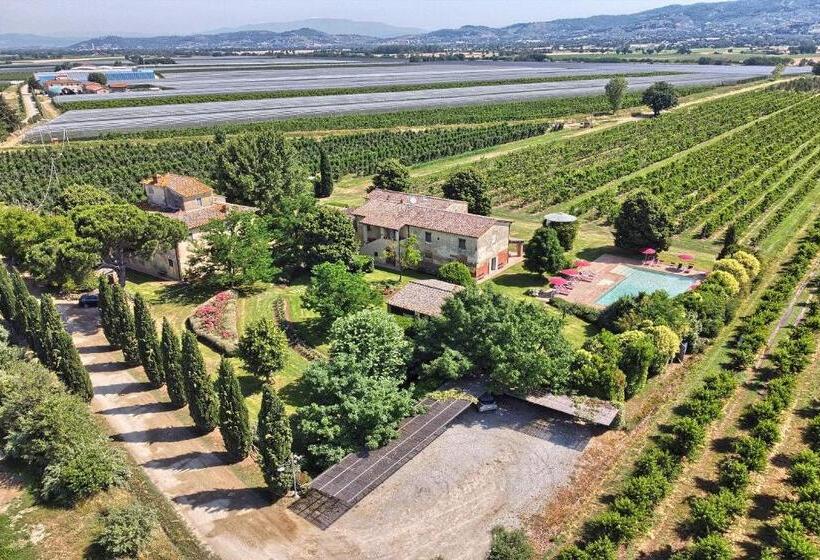 Апартаменты 3 Спальни, Foresteria Il Giardino Di Fontarronco