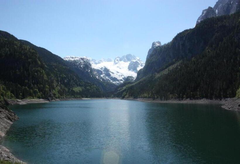 Номер Superior Одноместный, Gasthof Gosausee
