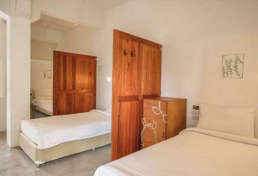 공동 객실, The Dearly Koh Tao Hostel Padi 5 Star Dive Resort