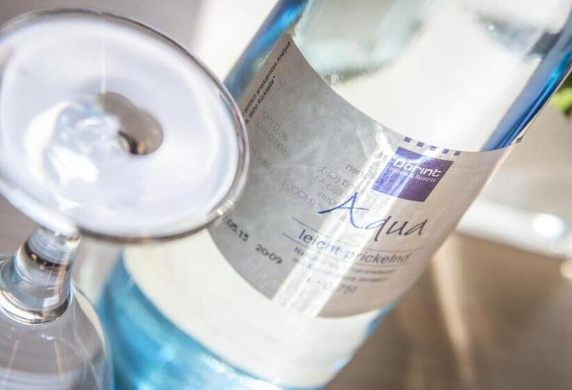 Полулюкс Вид на Сад, Dorint Hotel Frankfurt/oberursel