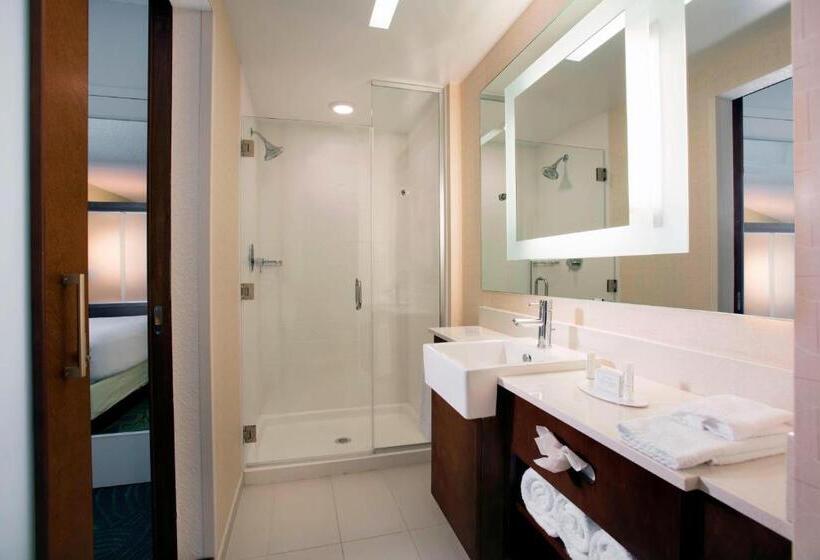 Люкс, Springhill Suites By Marriott Orlando At Flamingo Crossings Town Center Western Entrance