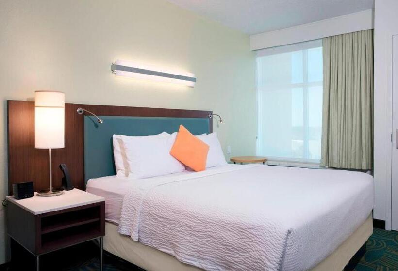 Люкс Кровать Кинг, Springhill Suites By Marriott Orlando At Flamingo Crossings Town Center Western Entrance