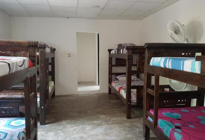 تختخواب در اتاق مشترک, Apartahostal Mafelo