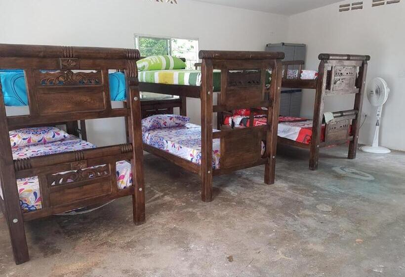 تختخواب در اتاق مشترک, Apartahostal Mafelo