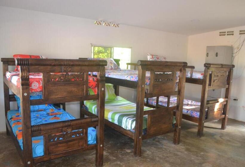 تختخواب در اتاق مشترک, Apartahostal Mafelo