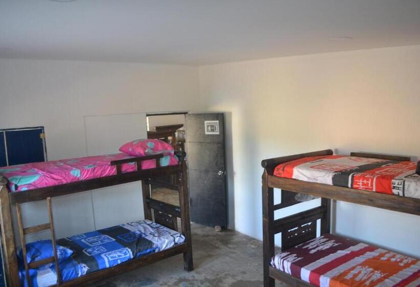 تختخواب در اتاق مشترک, Apartahostal Mafelo