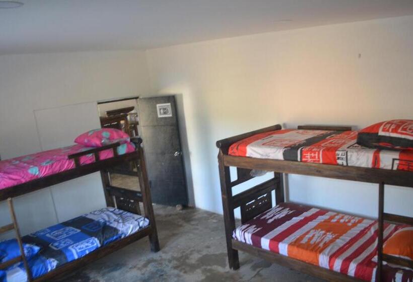 تختخواب در اتاق مشترک, Apartahostal Mafelo