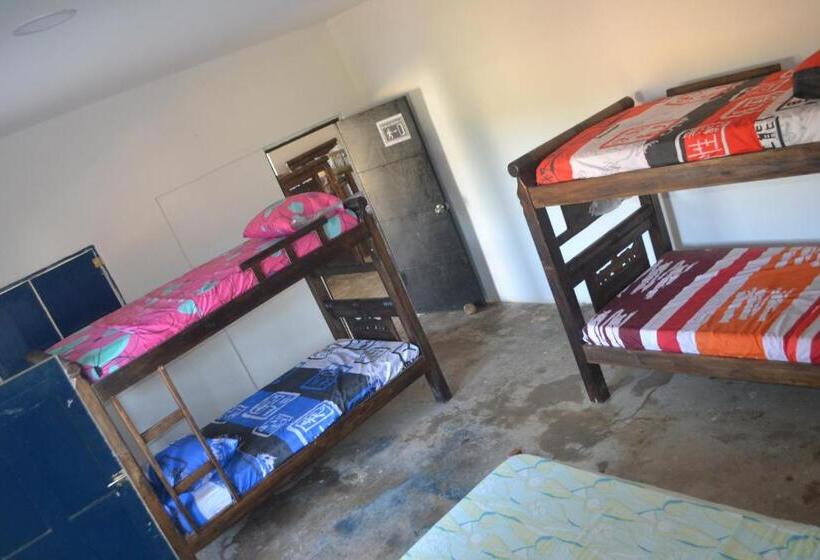 تختخواب در اتاق مشترک, Apartahostal Mafelo